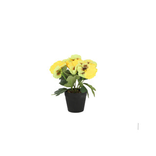 Violette en pot en plastique env. 21cmh couleurs assorties | 4 pièces