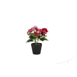 Violette en pot en plastique env. 21cmh couleurs assorties | 4 pièces