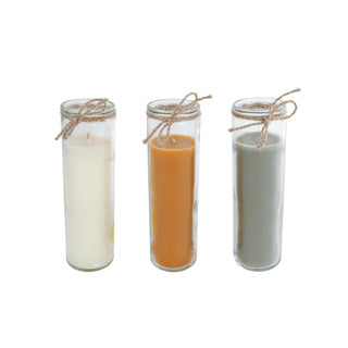 Graines de bougie de la vie 3 Verre Assorti 5x5x17 cm