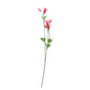 Art Bloem Campanula Silk rose clair 60 cm
