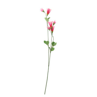 Art Bloem Campanula Silk rose clair 60 cm