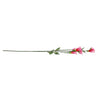 Art Bloem Campanula Silk rose clair 60 cm