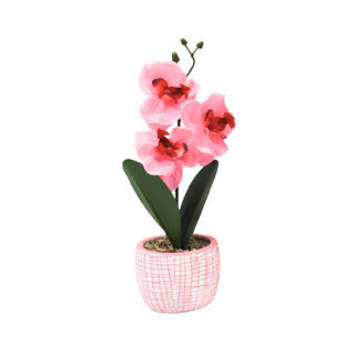 Orchidée d'art en pot 28 cm 6 assorti