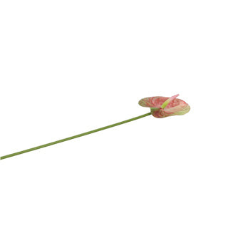 No brand fleur artificielle anthurium 58 cm countryfield | 6 pièces