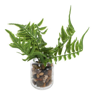 Countryfield Art Plant Pteropsida en pot 19 cm Green Assorti