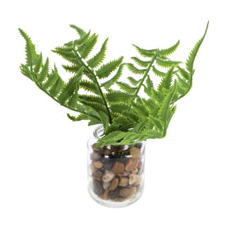 Countryfield Art Plant Pteropsida en pot 19 cm Green Assorti