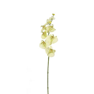 Art Flower Orchid Cream 85 cm