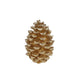 No brand sculpture pomme de pin doré polystone 21x21x29cm