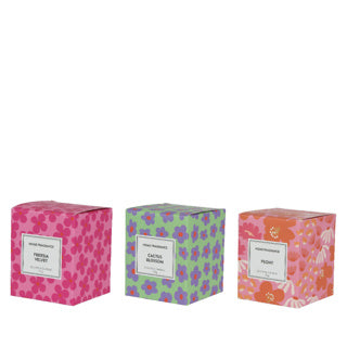 Cire de bougie parfumée en verre 3 assortis | 3 pièces