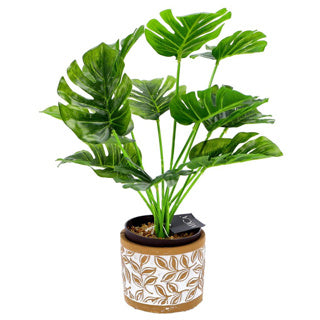 Pot Olea Cylinder brun 11 cm