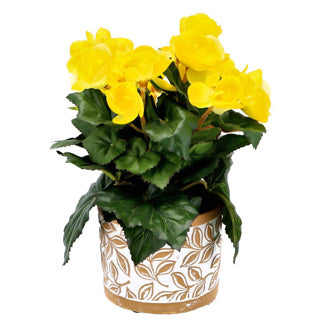 Pot Olea Cylinder brun 11 cm