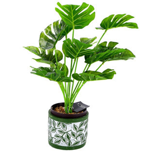 Pot Olea Cylinder vert 11 cm