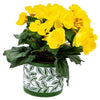 Pot Olea Cylinder vert 11 cm
