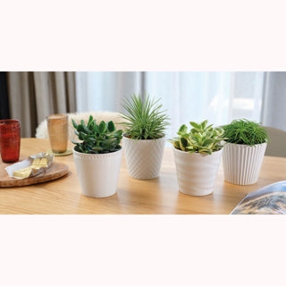 | 4 pièces