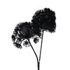 Art Flower Heracleum Countryfield a mené noir 75 cm