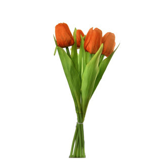 Bouquet de tulipes 7 tulipes 35 cm Assorti