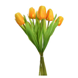 Bouquet de tulipes 7 tulipes 35 cm Assorti