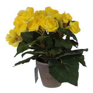Plante artificielle bégonia jaune dans le pot