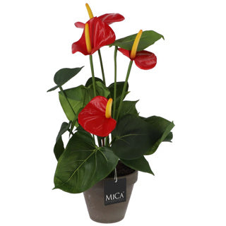 Plante artificielle anthurium rouge dans le pot
