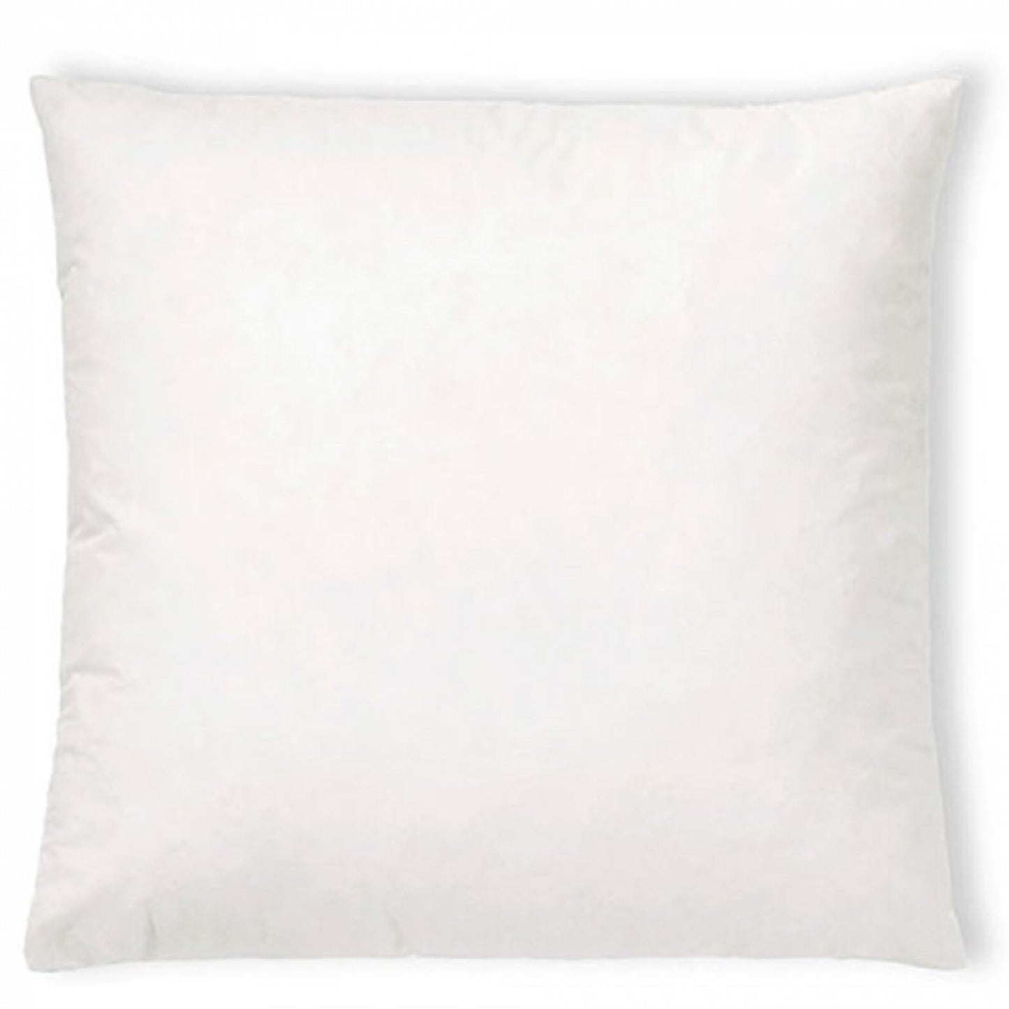 Coussin intérieur Ambiente 40x40cm