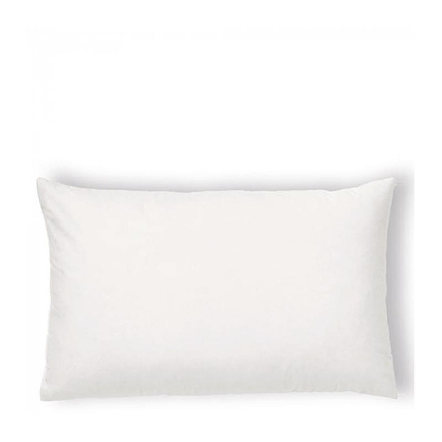 Coussin intérieur Ambiente 50x30cm