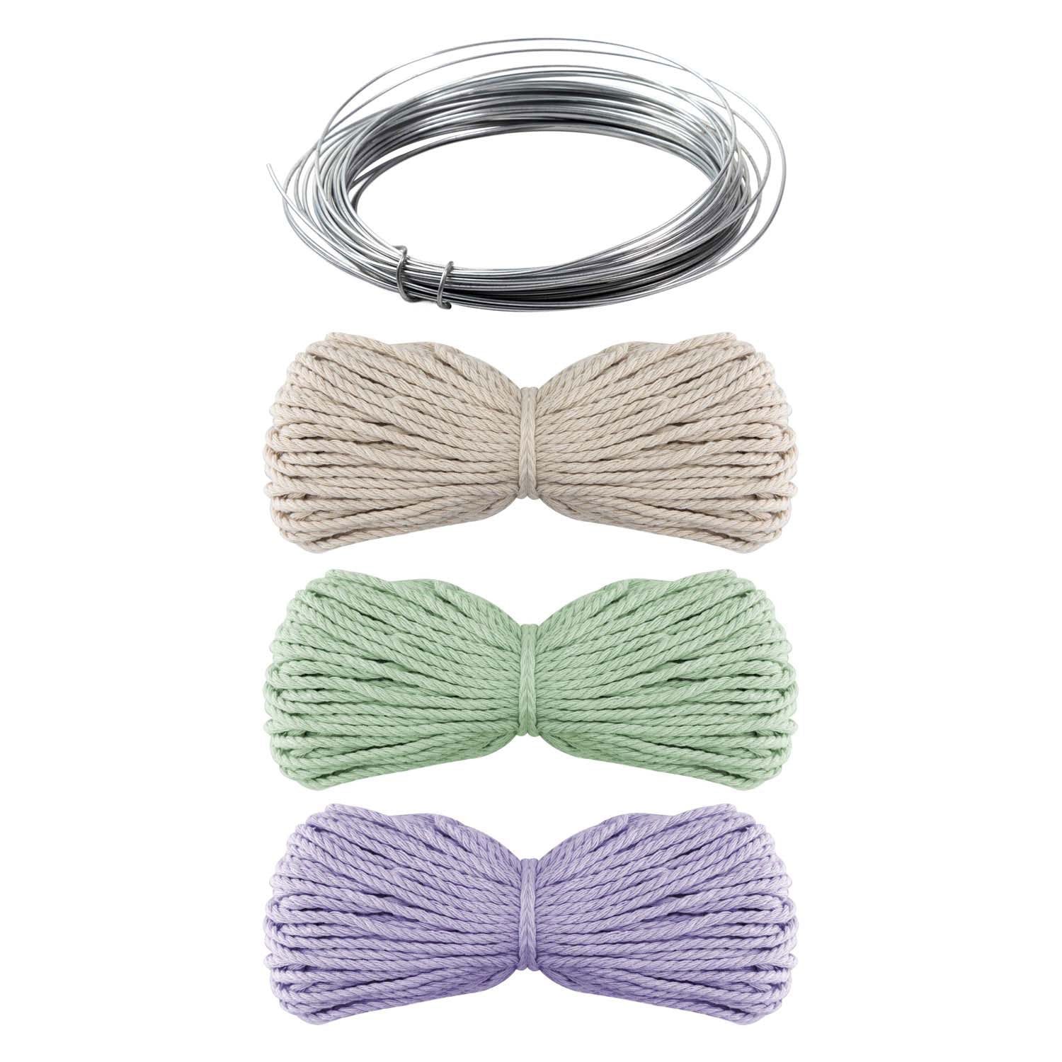 Les bouteilles de macrame de groupe d'artisanat créatives décorent de fleurs