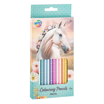 Crayons de couleur pastel pour groupe d'artisanat créatif - 12 pcs.