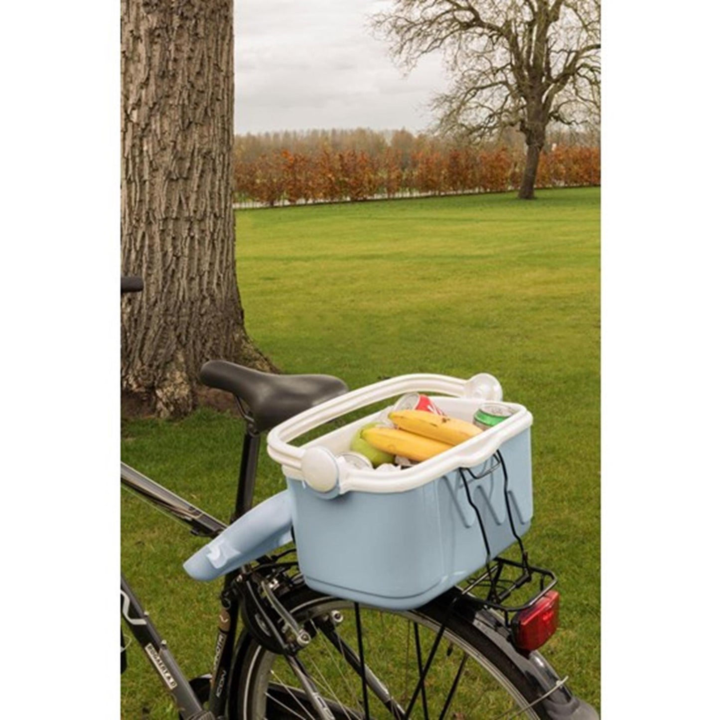 Curver Curver Koelbox 10L Blue blanc