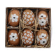 Mélange d'œufs de poule aux œufs de Pâques | 5 pièces