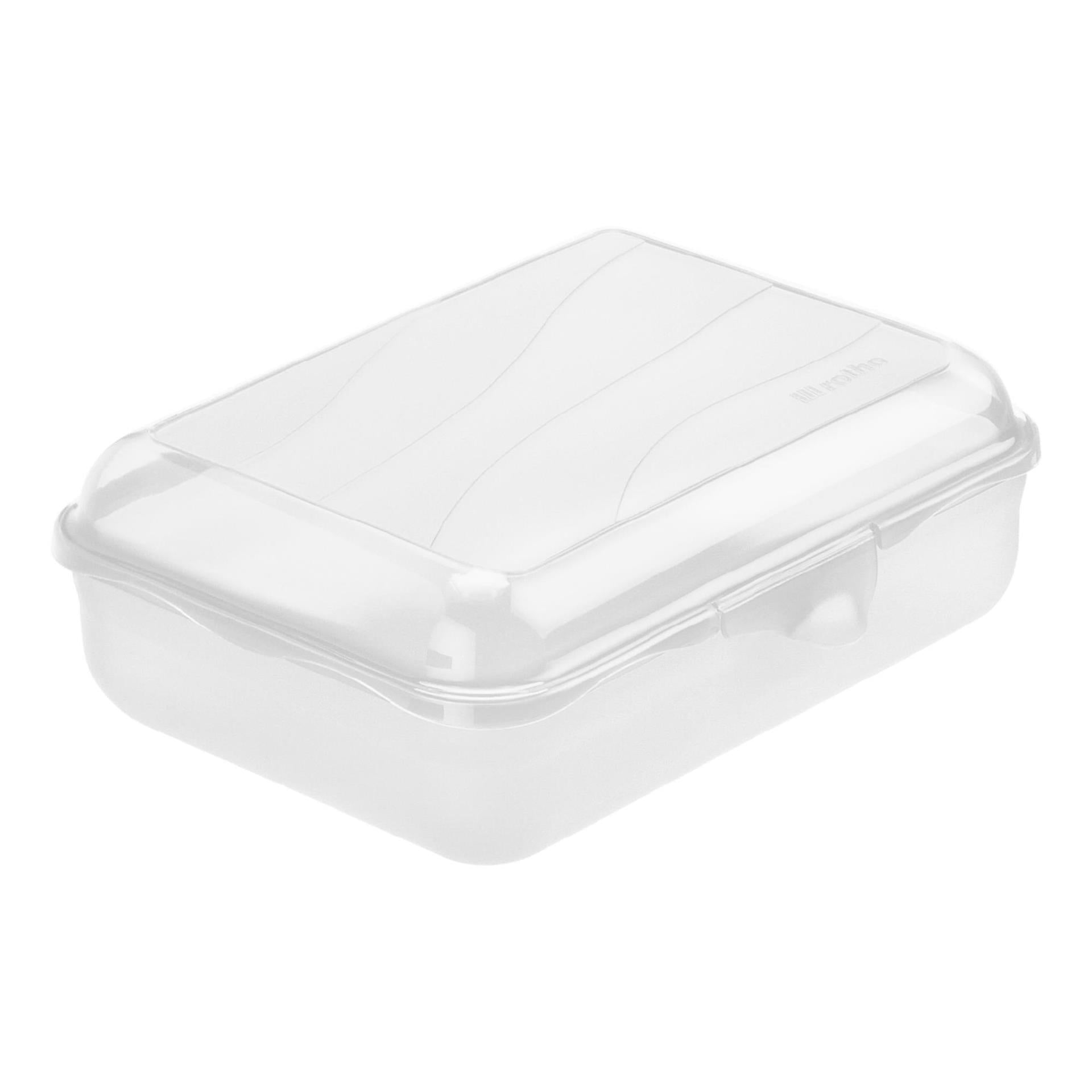 Rotho Fun Lunchbox 1.25L Transparent