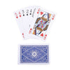 Cartes à jouer long champ plastisé