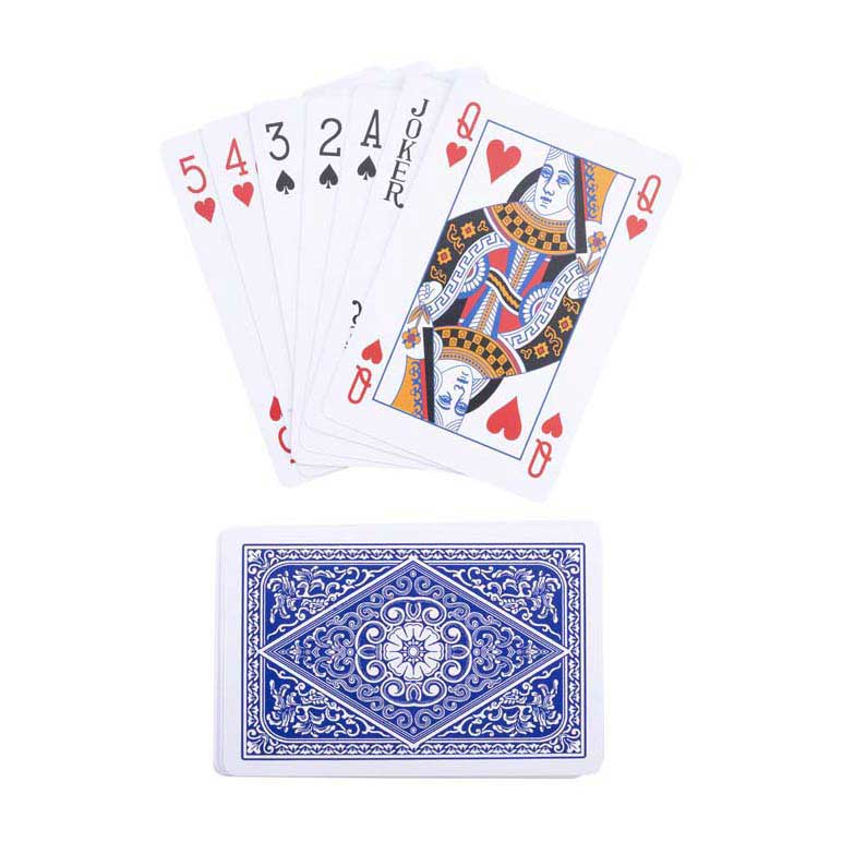 Cartes à jouer long champ plastisé