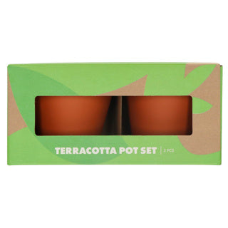Pots en terre cuite avec de la ciboulette et des graines de basilic 13,5 cm