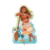Disney Princess Diamond Painting and paillettes Art