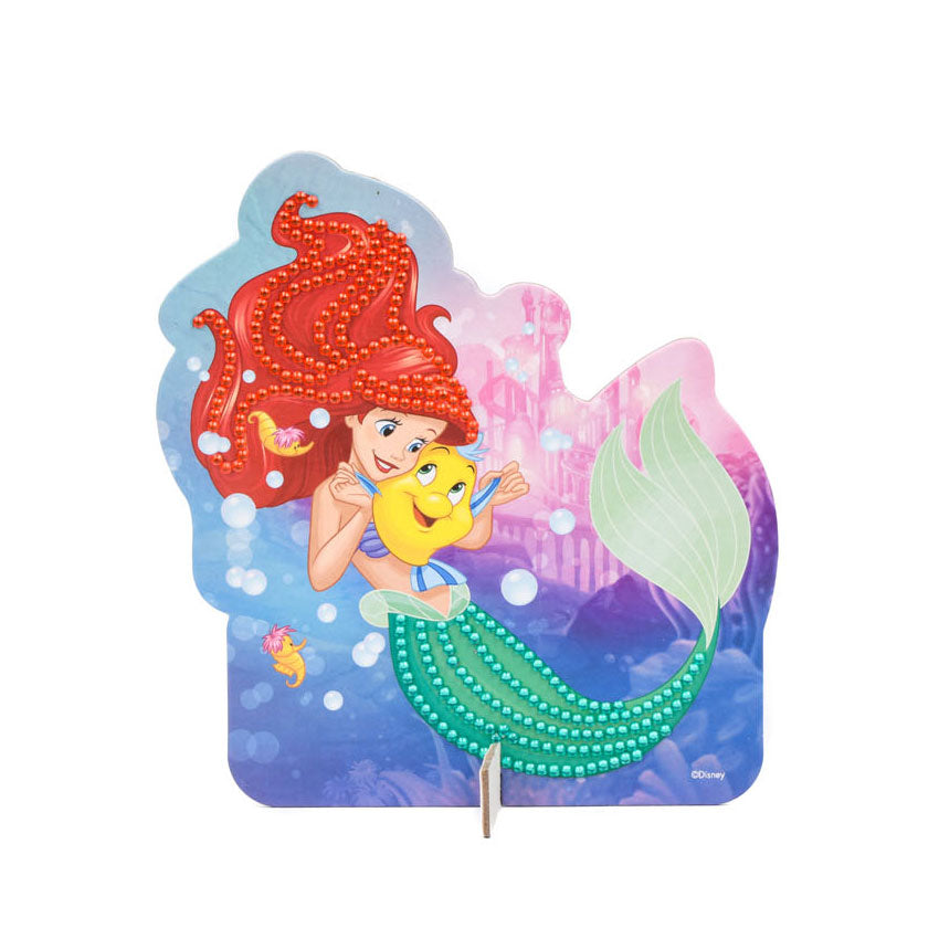 Disney Princess Diamond Painting and paillettes Art