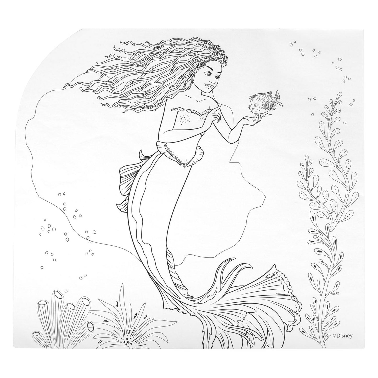 L'ensemble de couleurs Little Sirène 5in1