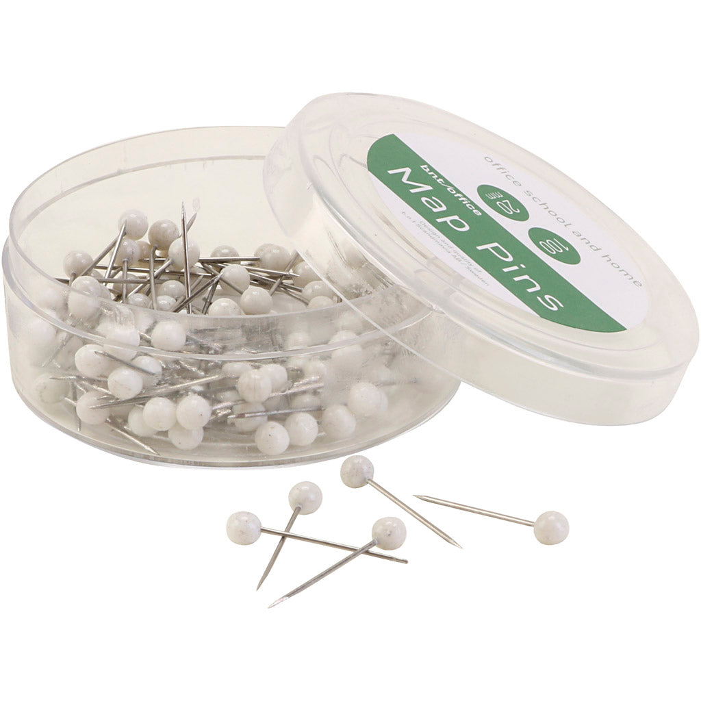 Punaises, blanches, 100 pièces, 1 boîte