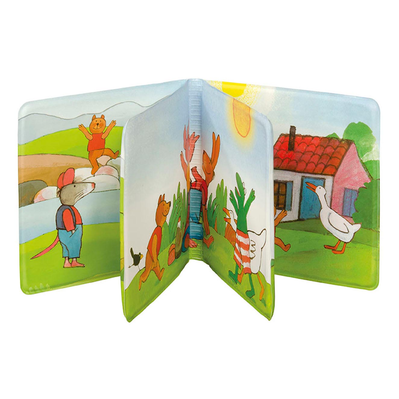 Frog Bathbook Amis