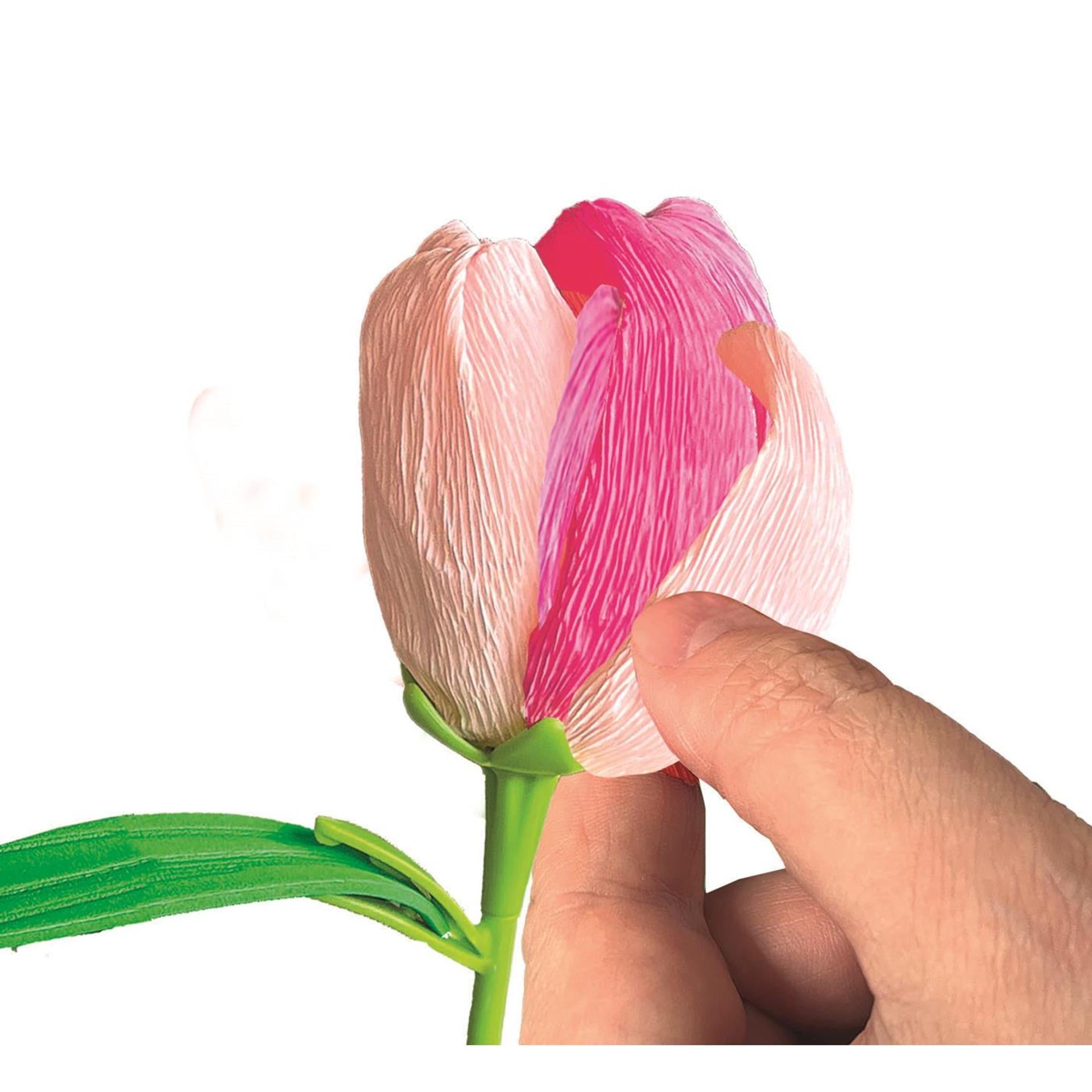 Les fleurs parfumées de Clementoni font du tulipe