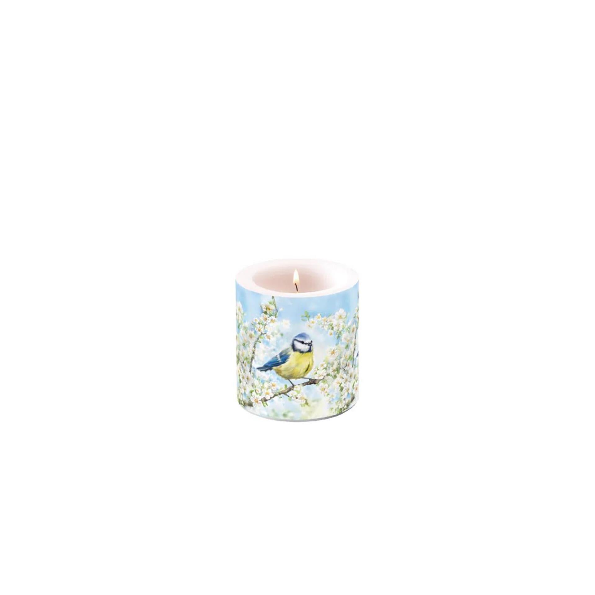 Bougie d'ambiance petite période de floraison