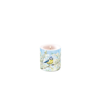 Bougie d'ambiance petite période de floraison
