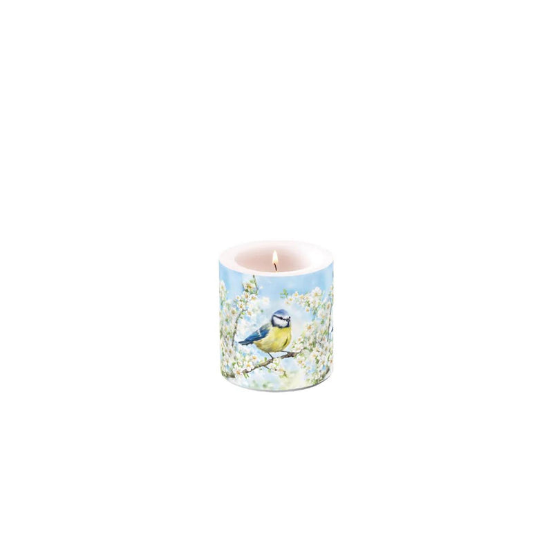 Bougie d'ambiance petite période de floraison