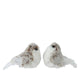 Fourrure artificielle oiseau Kaemingk sur clip 2assl.12cm x l.6cm x h.8cm | 4 pièces
