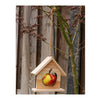 Porte-pommes pour oiseaux