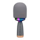 Haut-parleur microphone karaoké