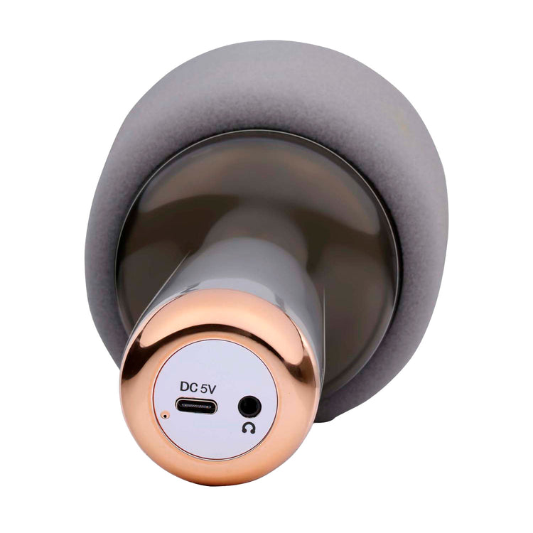 Haut-parleur microphone karaoké