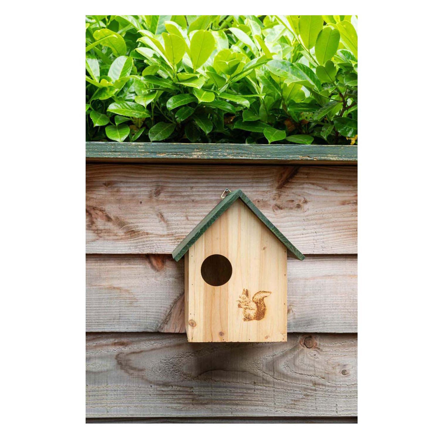 Maison d'écureuil en bois