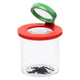 Pot à insectes avec loupe