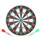 Dartboard Maikel Verberk Dartboard avec flèches