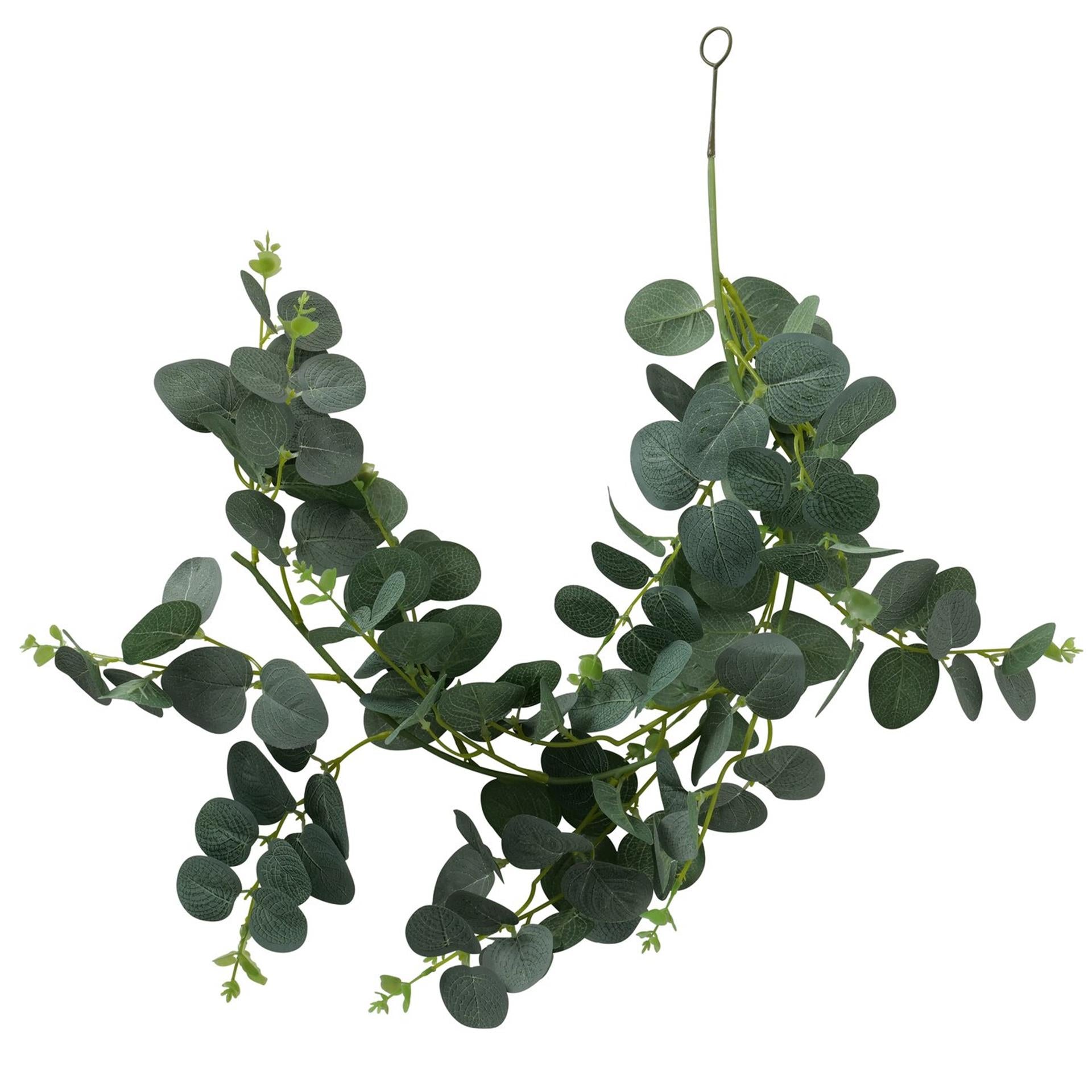 Boltze guirlande de plantes d'intérieur eucalyptus l75cm